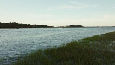 Beach Lot For Sale in Charleston, South Carolina