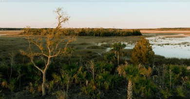 Beach Lot For Sale in Charleston, South Carolina