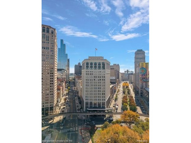 Beach Condo For Sale in Detroit, Michigan