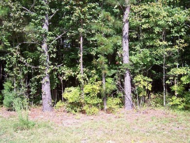 Beach Lot For Sale in Reedville, Virginia