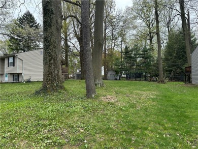 Beach Lot For Sale in Madison, Ohio