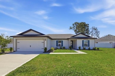 Beach Home For Sale in Palm Coast, Florida