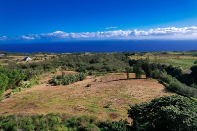 Beach Acreage For Sale in Papaaloa, Hawaii