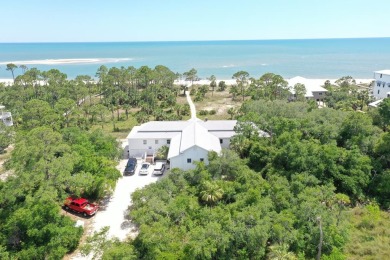 Beach Home For Sale in Port St Joe, Florida