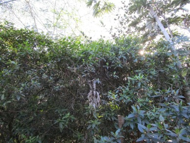 Beach Lot For Sale in Keaau, Hawaii