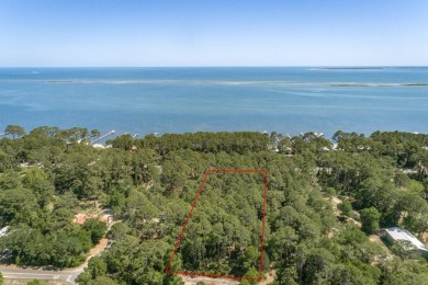 Beach Lot For Sale in Carabelle, Florida