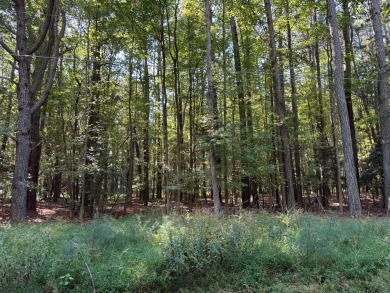 Beach Lot For Sale in Kilmarnock, Virginia