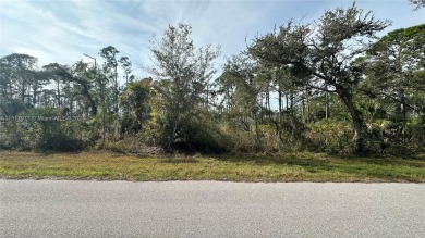 Beach Lot For Sale in Port Charlotte, Florida