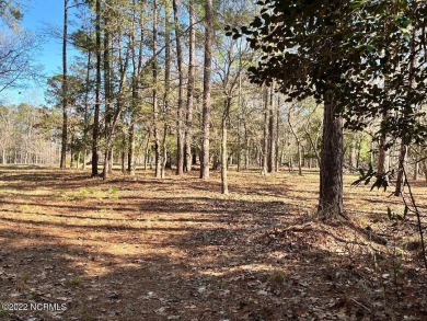 Beach Lot For Sale in Shallotte, North Carolina