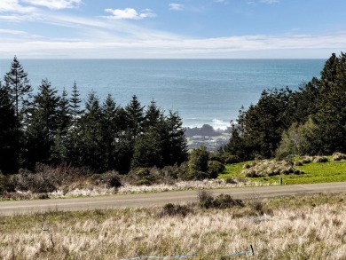 Beach Lot For Sale in Sea Ranch, California