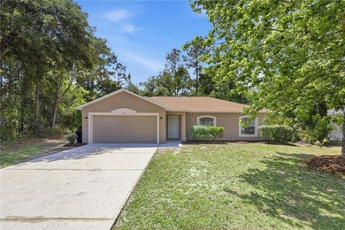 Beach Home For Sale in Palm Coast, Florida