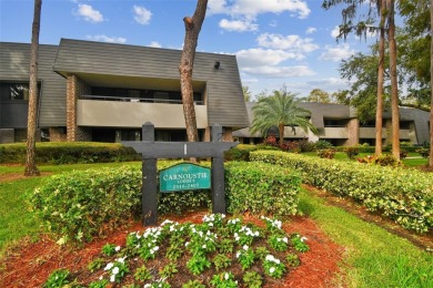 Beach Condo For Sale in Palm Harbor, Florida