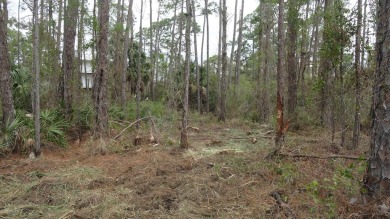 Beach Lot For Sale in St. George Island, Florida