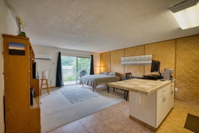 Beach Home For Sale in Hilo, Hawaii