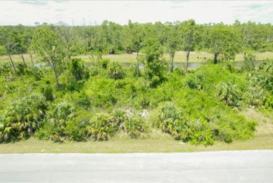 Beach Lot For Sale in North Port, Florida