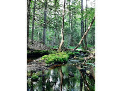 Beach Acreage For Sale in Bristol, Maine