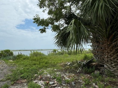 Beach Commercial For Sale in Eastpoint, Florida