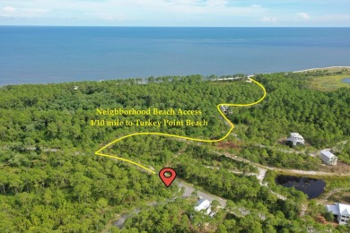 Beach Lot For Sale in Sopchoppy, Florida