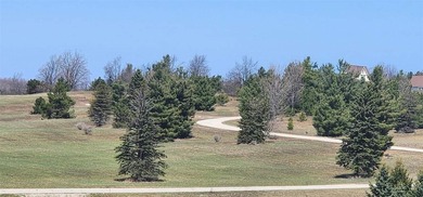 Beach Acreage For Sale in Harbor Springs, Michigan