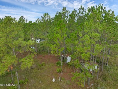 Beach Acreage For Sale in Ormond Beach, Florida