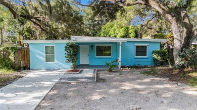 Beach Home For Sale in St. Petersburg, Florida