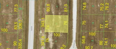 Beach Lot For Sale in Placida, Florida