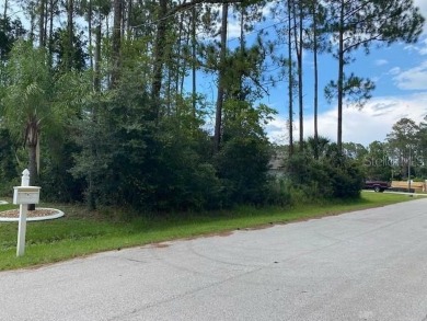 Beach Lot Sale Pending in Palm Coast, Florida
