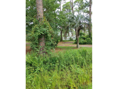 Beach Lot For Sale in Carabelle, Florida