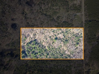 Beach Acreage For Sale in Shelby, Michigan
