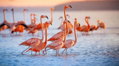 Beach Home For Sale in North Fort Myers, Florida