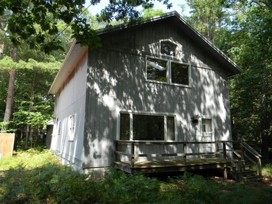 Beach Home For Sale in Pentwater, Michigan