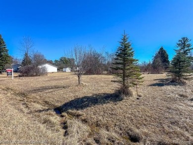 Beach Lot For Sale in Lexington, Michigan