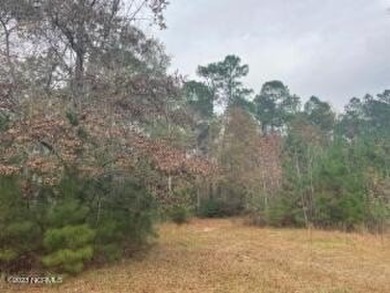 Beach Acreage For Sale in Supply, North Carolina