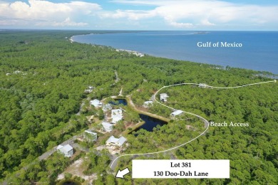 Beach Lot Sale Pending in Sopchoppy, Florida