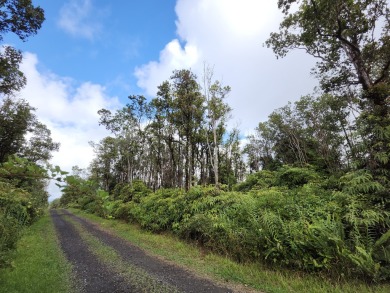 Beach Acreage For Sale in Volcano, Hawaii