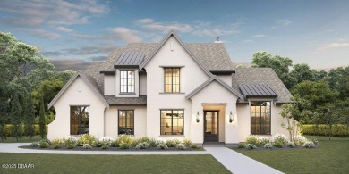 Beach Lot For Sale in Ponce Inlet, Florida