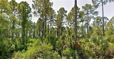 Beach Lot For Sale in Port St Joe, Florida