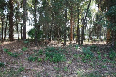 Beach Lot For Sale in Crystal River, Florida