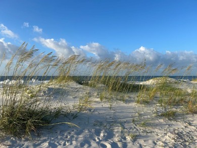 Beach Lot For Sale in Carabelle, Florida