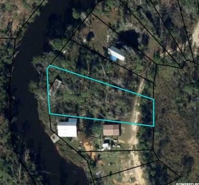 Beach Lot For Sale in Wewahitchka, Florida