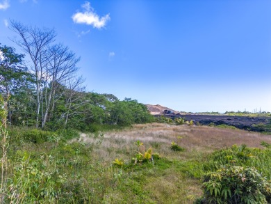 Beach Lot For Sale in Pahoa, Hawaii