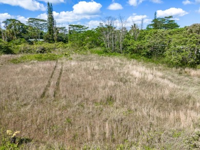 Beach Lot For Sale in Pahoa, Hawaii