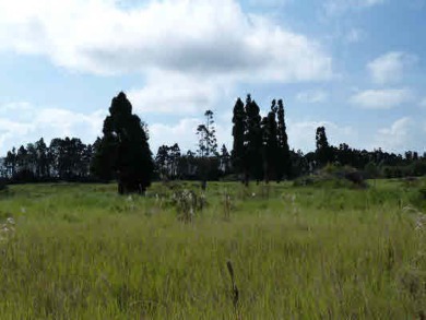 Beach Acreage For Sale in Volcano, Hawaii