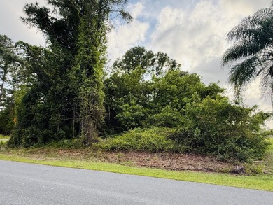 Beach Lot For Sale in Palm Bay, Florida