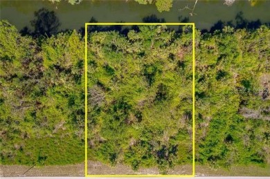 Beach Lot For Sale in Port Charlotte, Florida