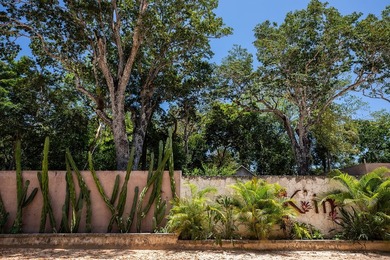 Lot For Sale in Tulum image photo picture