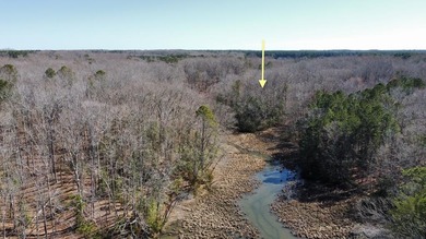 Beach Lot For Sale in Irvington, Virginia