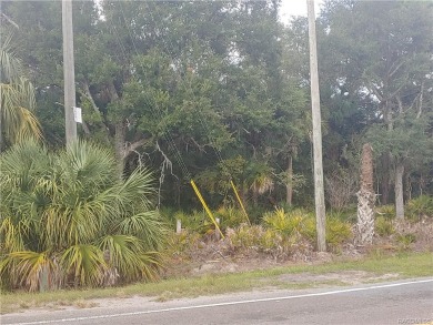 Beach Lot For Sale in Crystal River, Florida