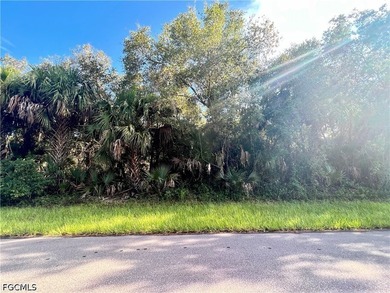 Beach Lot For Sale in Port Charlotte, Florida