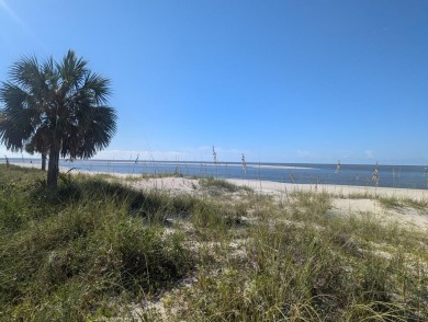 Beach Lot For Sale in Port St Joe, Florida